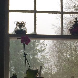 Meet your Posher, Carol